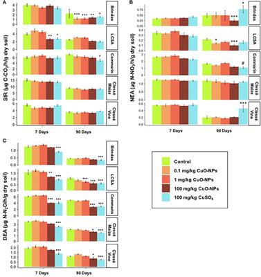 Negative Effects of Copper Oxide Nanoparticles on Carbon and Nitrogen Cycle Microbial Activities in Contrasting Agricultural Soils and in Presence of Plants